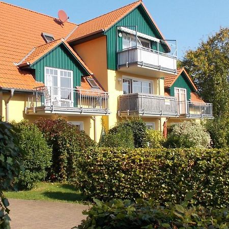 Friedensstra_E 41 Wohnung 10 Zingst Ngoại thất bức ảnh