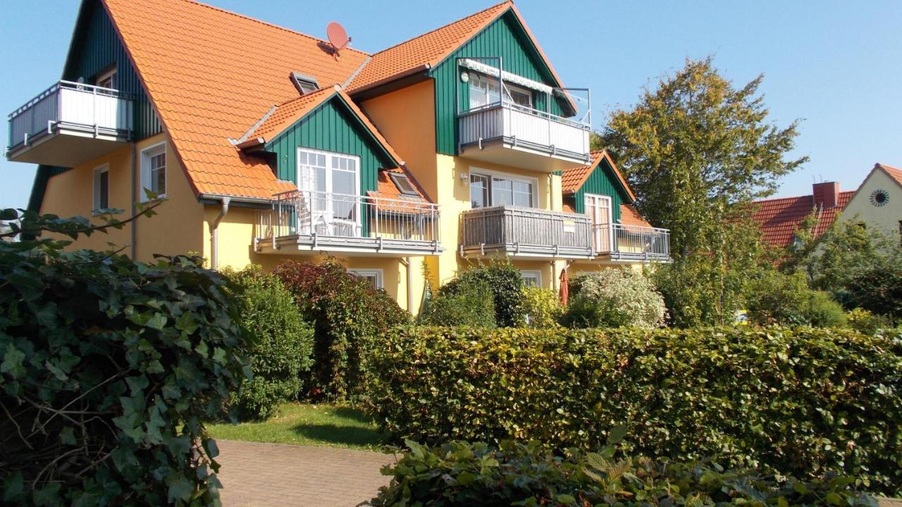 Friedensstra_E 41 Wohnung 10 Zingst Ngoại thất bức ảnh
